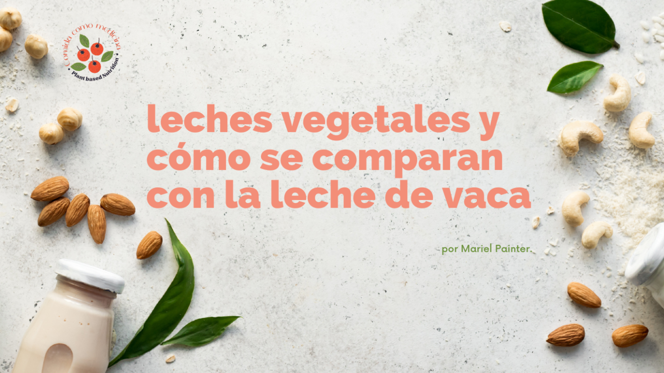 Cu L Es La Mejor Leche Vegetal Para Tomar Comida Como Medicina