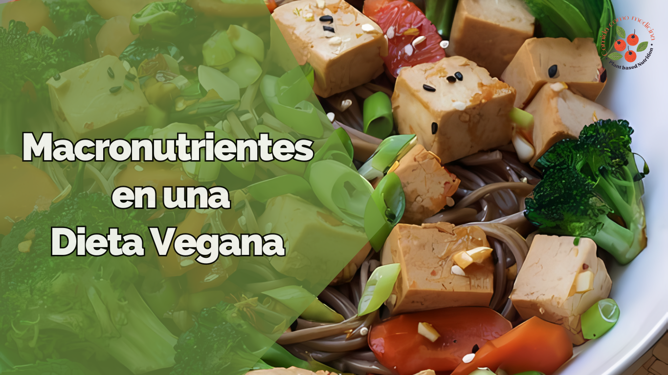 Descubre dónde conseguir proteína, carbohidratos y grasas en una dieta vegana