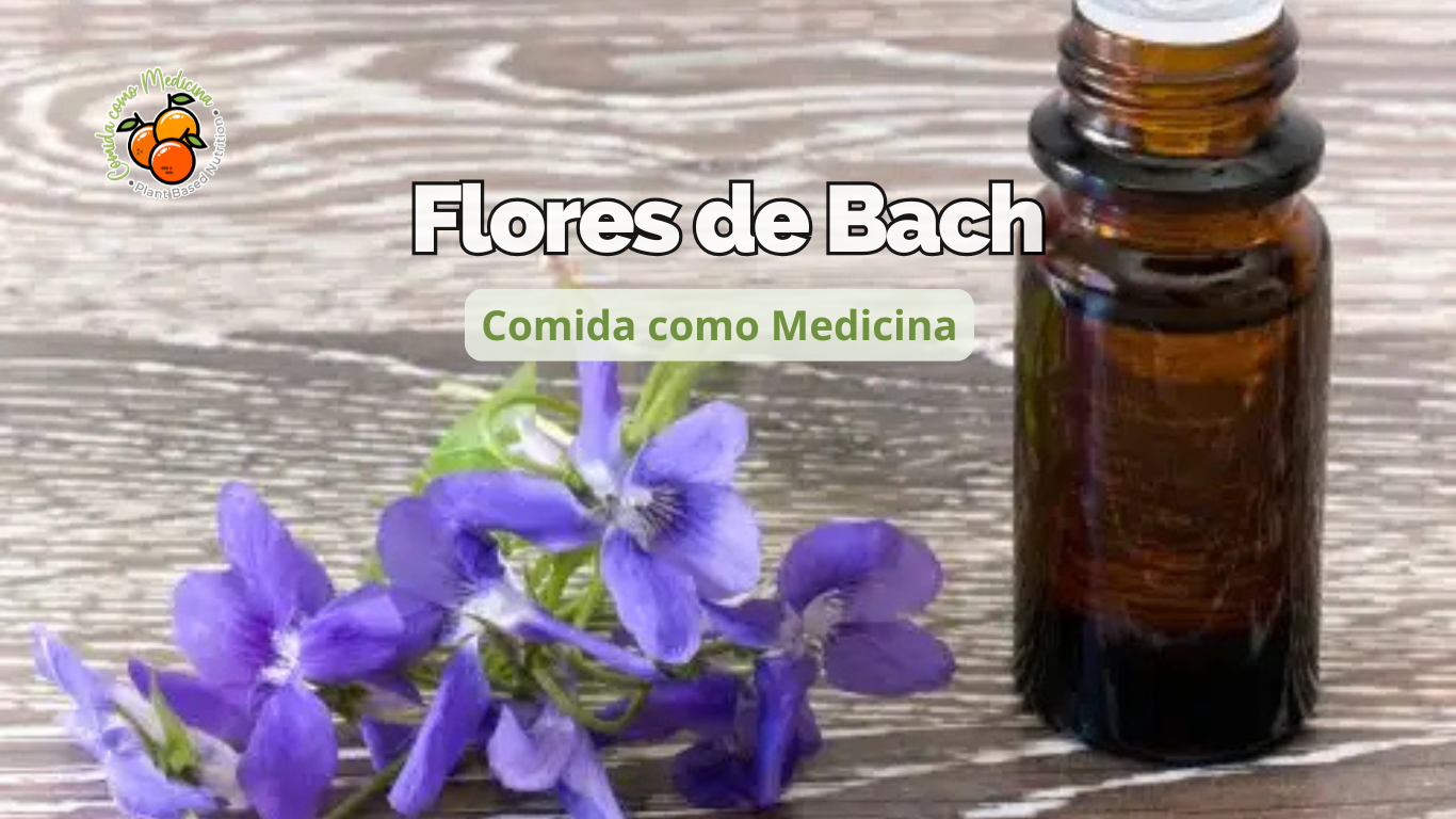 Flores de Bach: Una terapia natural para el equilibrio emocional