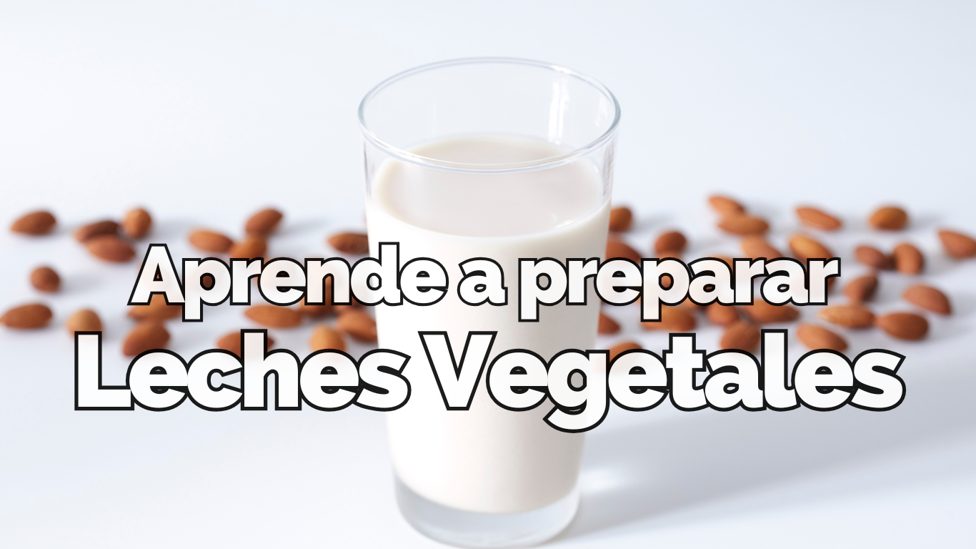 Aprende cómo preparar bebidas/leches vegetales en casa.